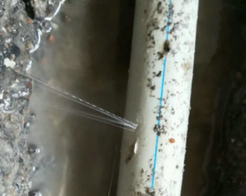炉霍卫生间测漏水多少钱