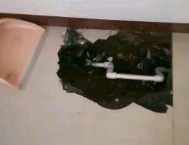 炉霍卫生间测漏水多少钱